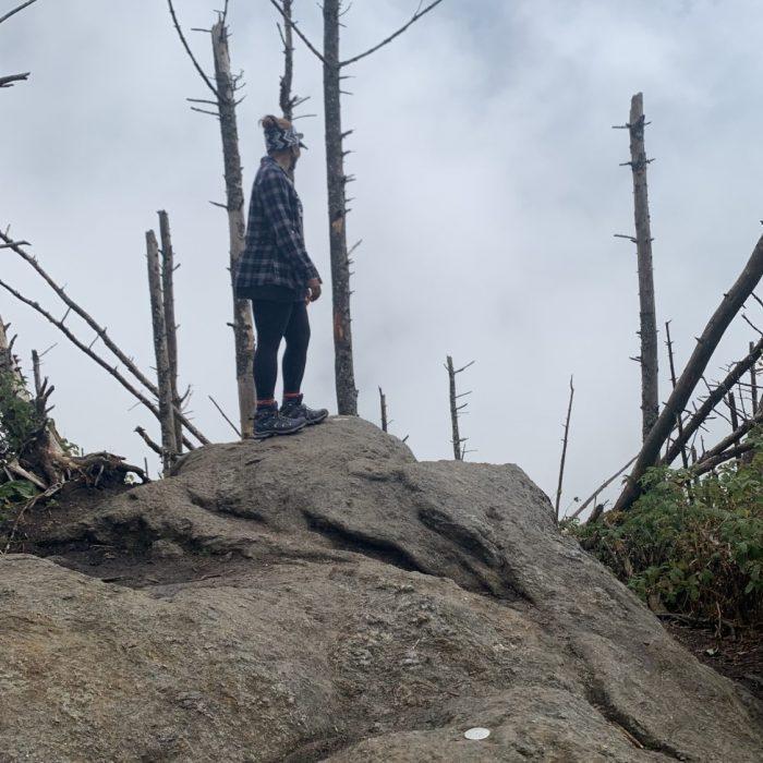 All Who Wander Are Not Lost