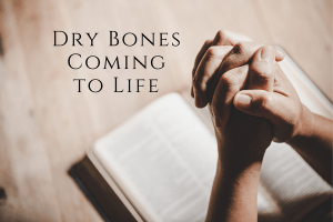 Dry Bones Coming to Life WCA Blog