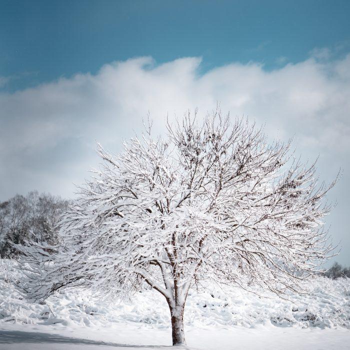 Raising Our Vantage Point