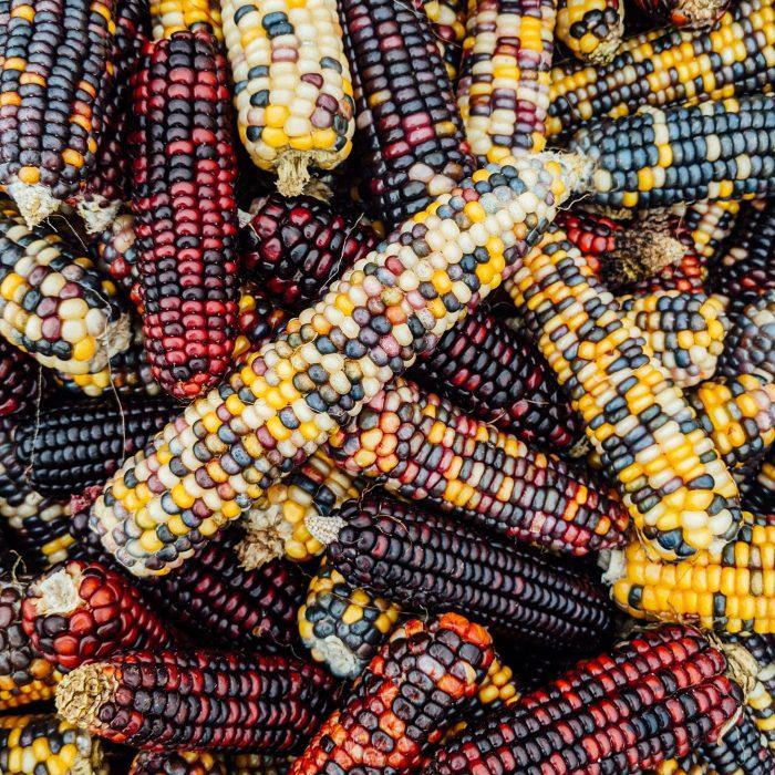 Gratitude for God’s Hidden Acts