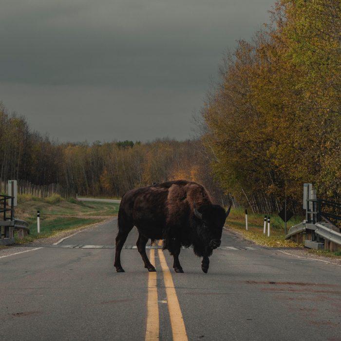 Standing in the Way of Progress